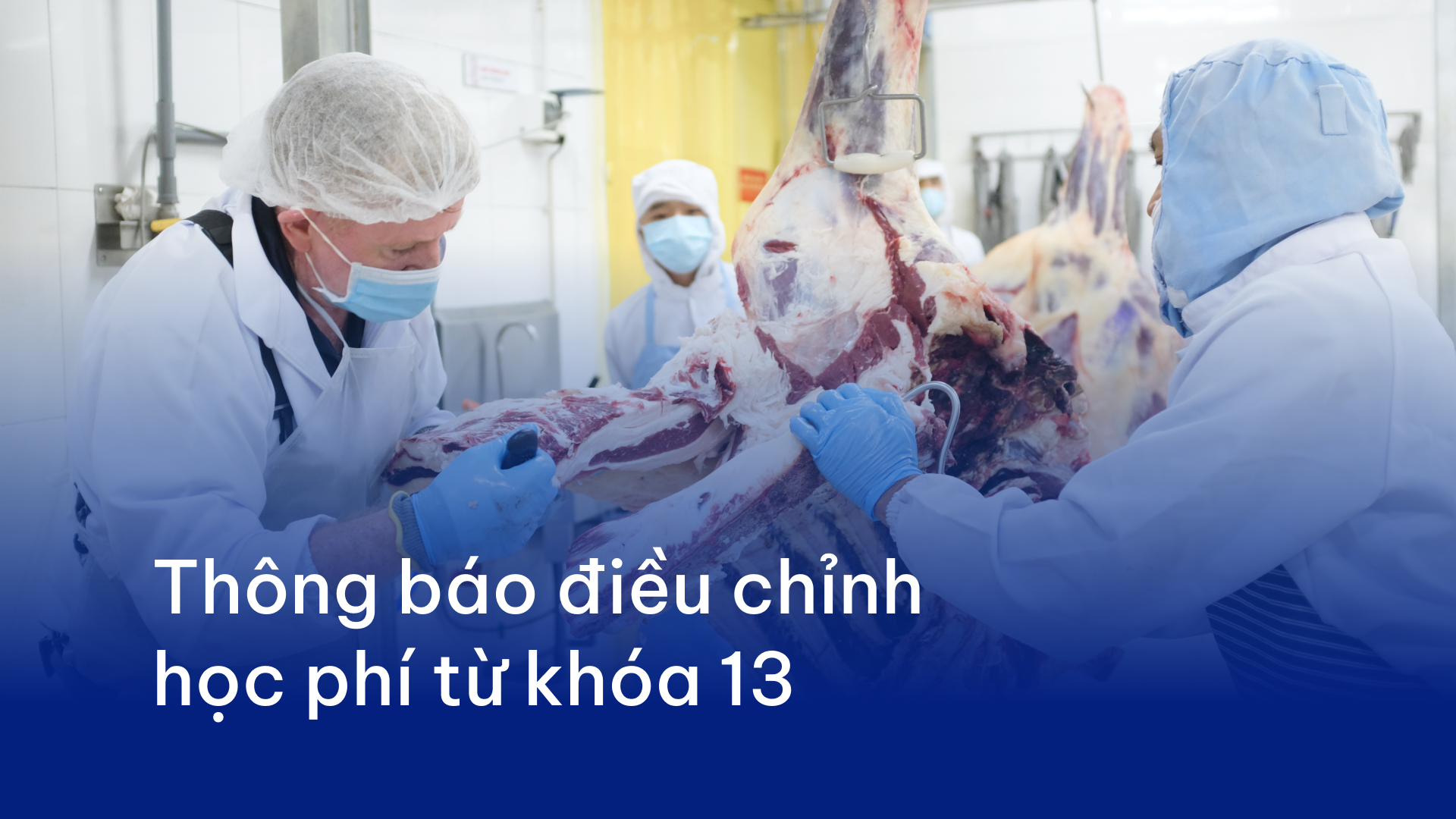 Australian Meat School (AMS) thông báo điều chỉnh học phí từ khóa 13